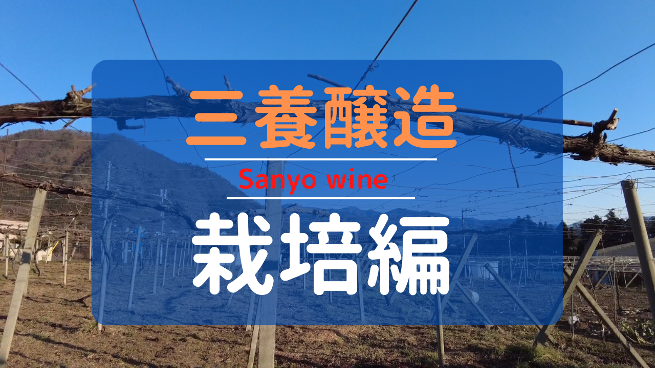 山梨のワイナリー